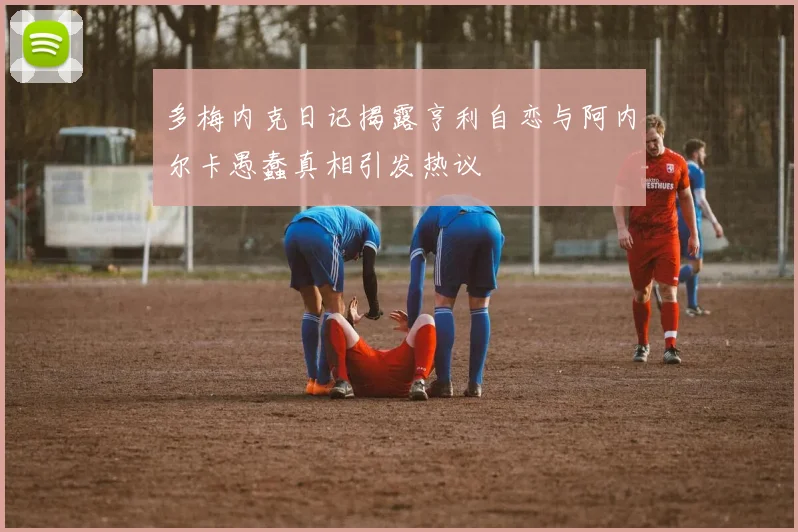 多梅内克日记揭露亨利自恋与阿内尔卡愚蠢真相引发热议